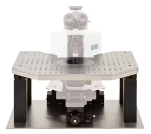 ITS2 Plateforme d'isolation pour microscope droit NARISHIGE