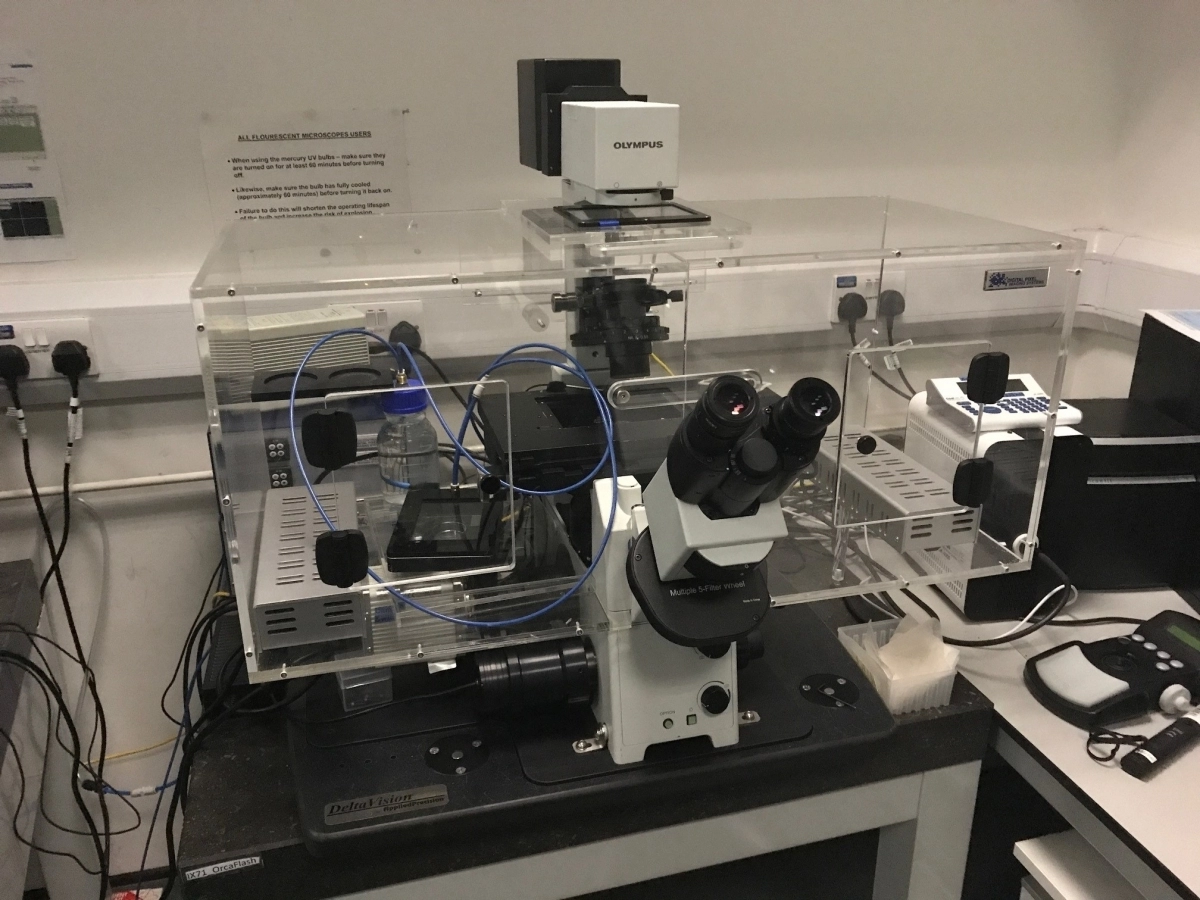 Système d'incubation pour  microscope OLYMPUS - 3