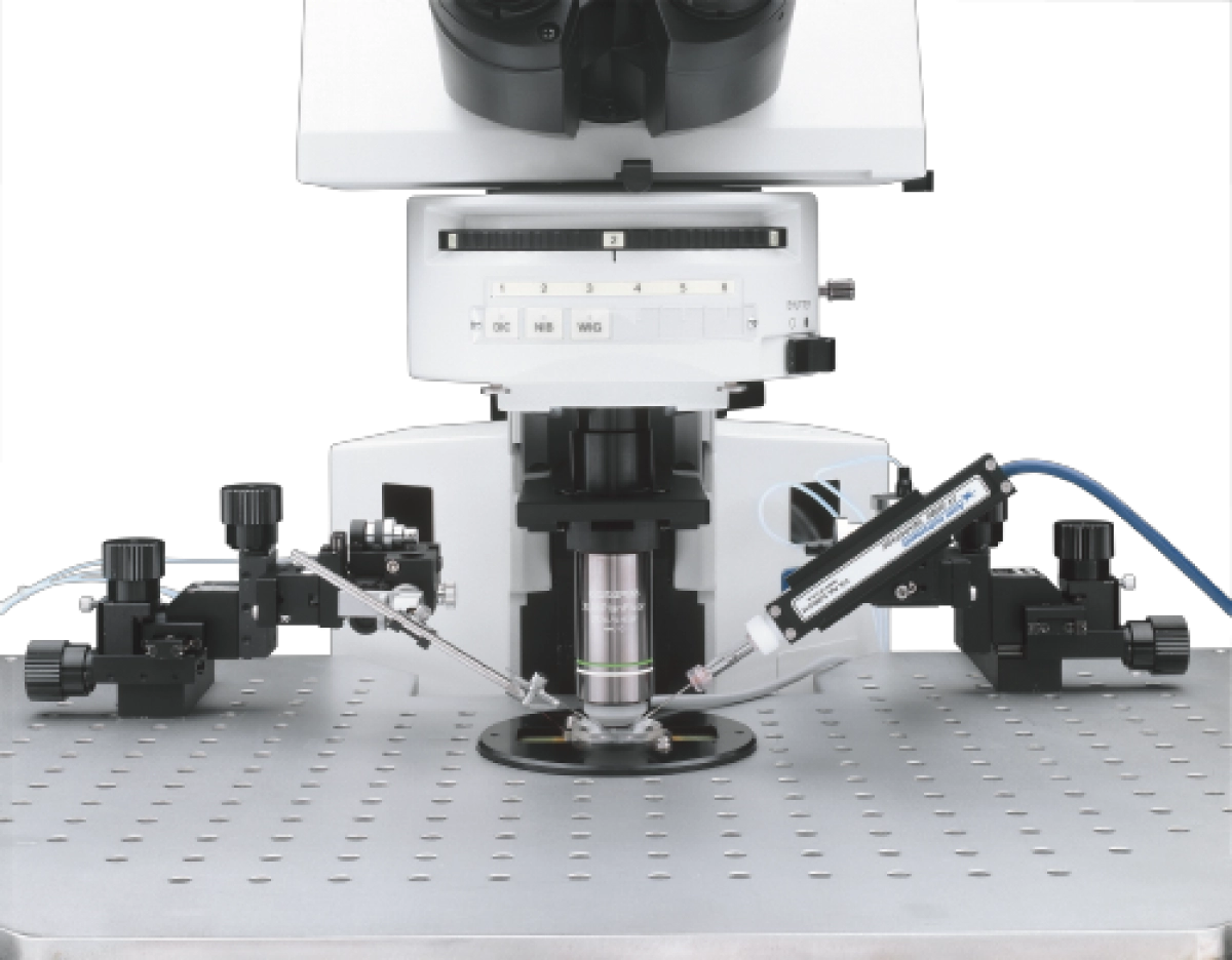 Microscope OLYMPUS BX51WI - 2